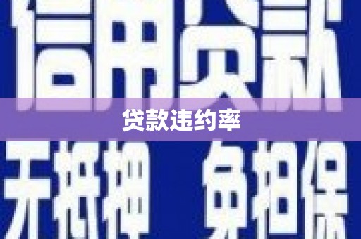 丰原贷款违约率