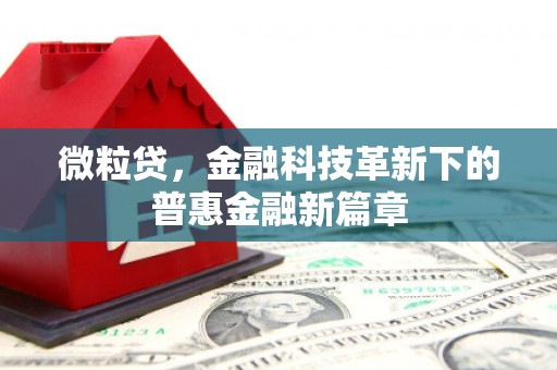 丰原微粒贷，金融科技革新下的普惠金融新篇章