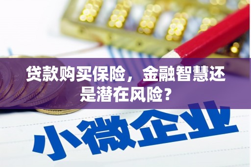 丰原贷款购买保险，金融智慧还是潜在风险？