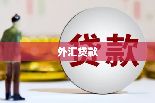 丰原外汇贷款