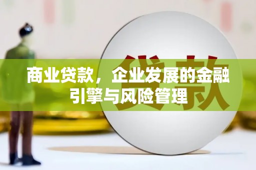丰原商业贷款，企业发展的金融引擎与风险管理
