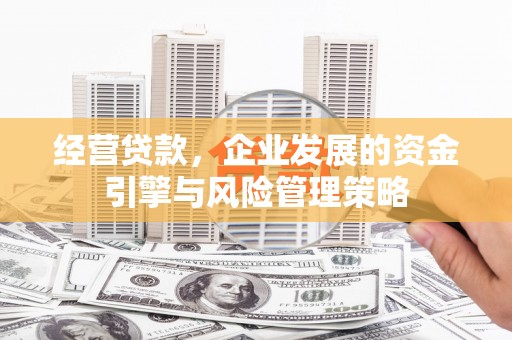 丰原经营贷款，企业发展的资金引擎与风险管理策略