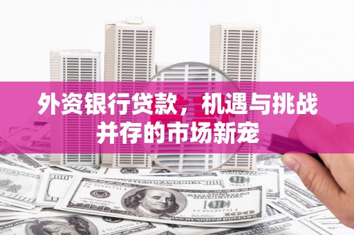 丰原外资银行贷款，机遇与挑战并存的市场新宠