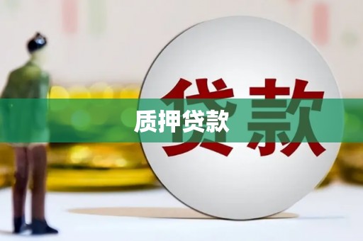 丰原质押贷款