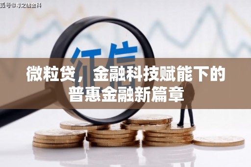 丰原微粒贷，金融科技赋能下的普惠金融新篇章