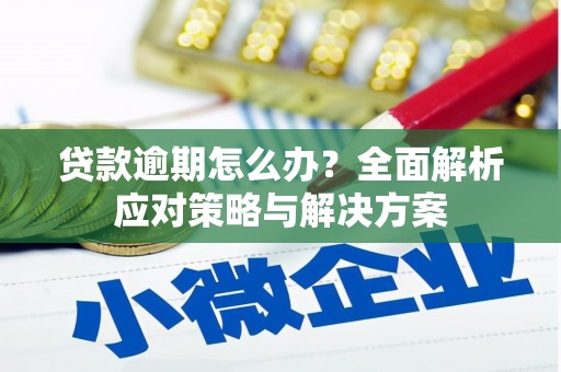 丰原贷款逾期怎么办？全面解析应对策略与解决方案