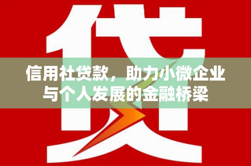 丰原信用社贷款，助力小微企业与个人发展的金融桥梁