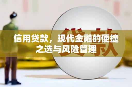 丰原信用贷款，现代金融的便捷之选与风险管理