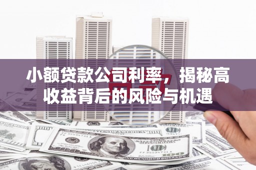 丰原小额贷款公司利率，揭秘高收益背后的风险与机遇
