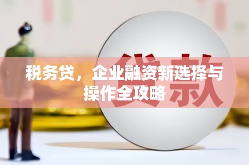 丰原税务贷，企业融资新选择与操作全攻略