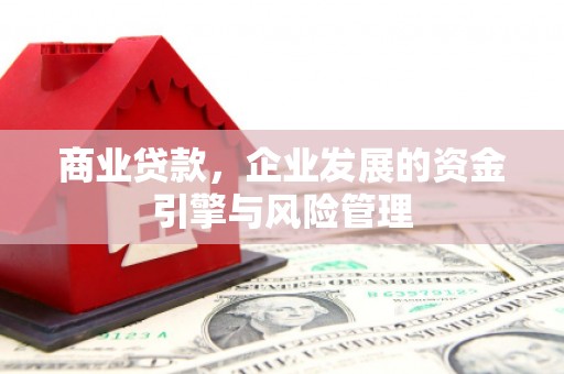 丰原商业贷款，企业发展的资金引擎与风险管理