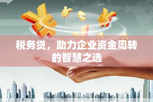丰原税务贷，助力企业资金周转的智慧之选
