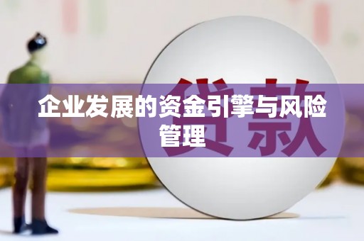 丰原企业发展的资金引擎与风险管理