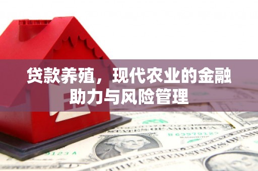 丰原贷款养殖，现代农业的金融助力与风险管理