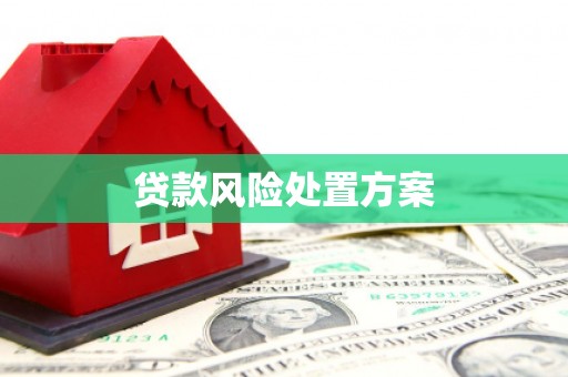 丰原贷款风险处置方案