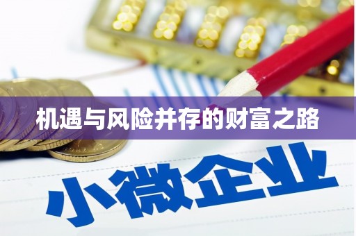 丰原机遇与风险并存的财富之路