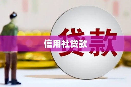 丰原信用社贷款