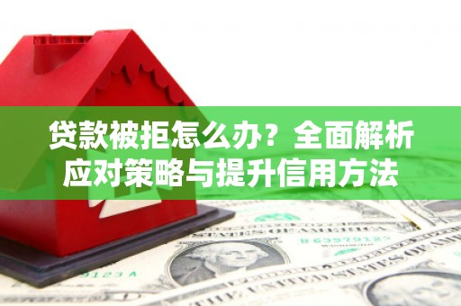 丰原贷款被拒怎么办？全面解析应对策略与提升信用方法