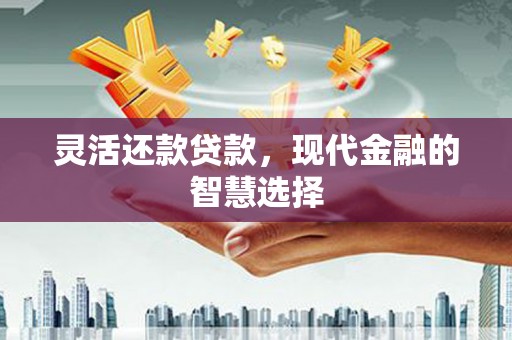 丰原灵活还款贷款，现代金融的智慧选择