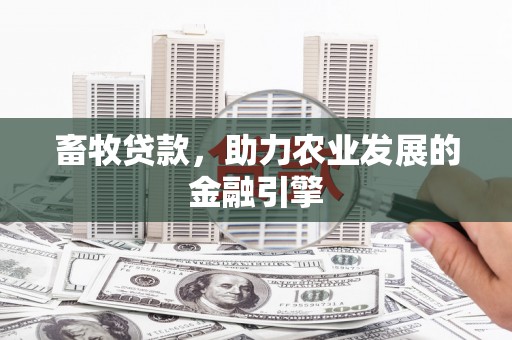 丰原畜牧贷款，助力农业发展的金融引擎