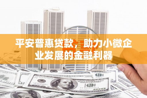 丰原平安普惠贷款，助力小微企业发展的金融利器