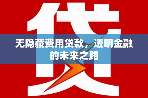 丰原无隐藏费用贷款，透明金融的未来之路