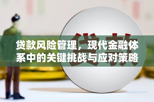 丰原贷款风险管理，现代金融体系中的关键挑战与应对策略