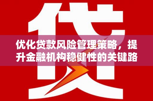 丰原优化贷款风险管理策略，提升金融机构稳健性的关键路径