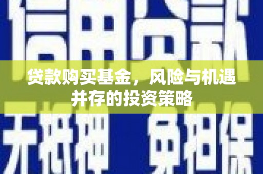 丰原贷款购买基金，风险与机遇并存的投资策略