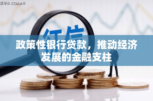 丰原政策性银行贷款，推动经济发展的金融支柱
