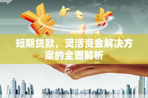 丰原短期贷款，灵活资金解决方案的全面解析