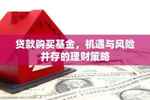 丰原贷款购买基金，机遇与风险并存的理财策略