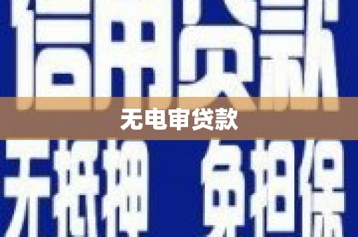 丰原无电审贷款
