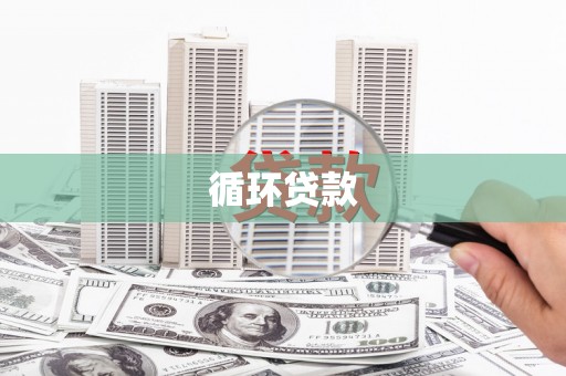 丰原循环贷款