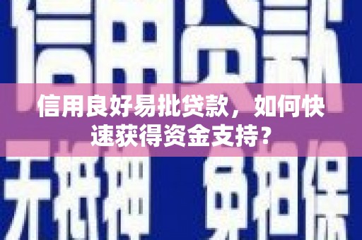 丰原信用良好易批贷款，如何快速获得资金支持？