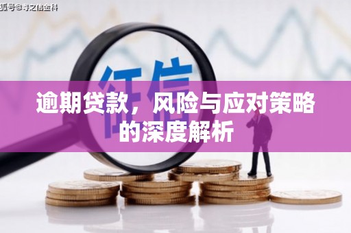 丰原逾期贷款，风险与应对策略的深度解析