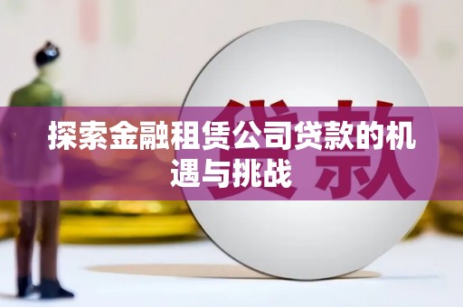 丰原探索金融租赁公司贷款的机遇与挑战