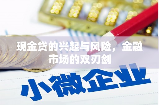 丰原现金贷的兴起与风险，金融市场的双刃剑
