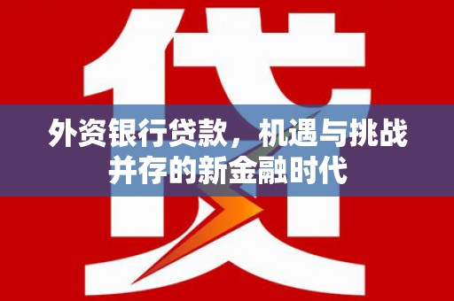 丰原外资银行贷款，机遇与挑战并存的新金融时代