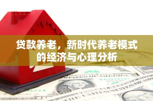 丰原贷款养老，新时代养老模式的经济与心理分析