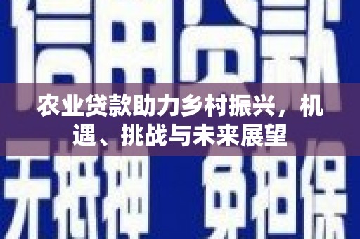 丰原农业贷款助力乡村振兴，机遇、挑战与未来展望