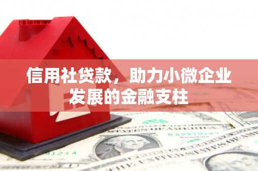 丰原信用社贷款，助力小微企业发展的金融支柱
