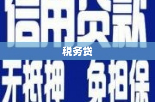丰原税务贷