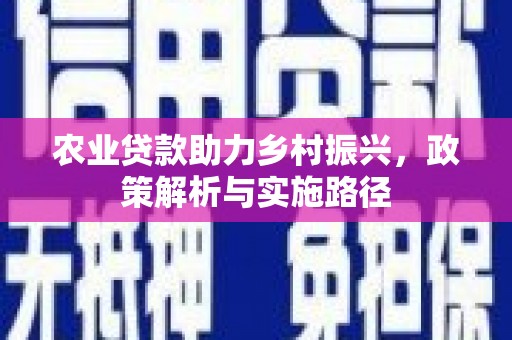 丰原农业贷款助力乡村振兴，政策解析与实施路径