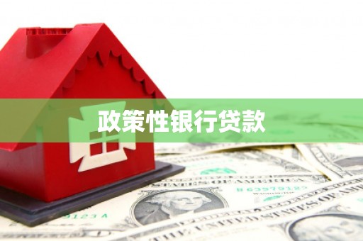 丰原政策性银行贷款