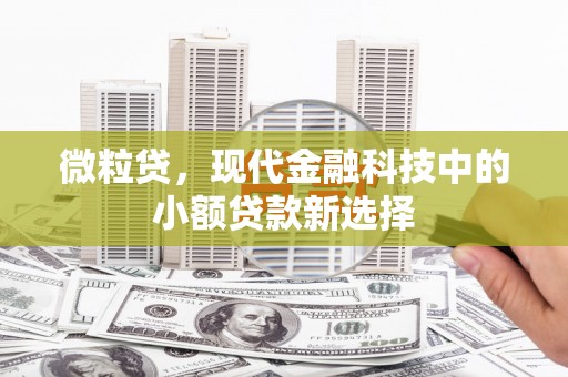 丰原微粒贷，现代金融科技中的小额贷款新选择