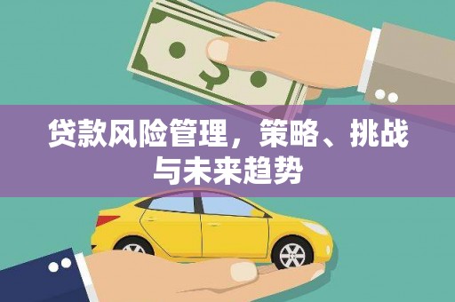 丰原贷款风险管理，策略、挑战与未来趋势