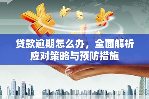 丰原贷款逾期怎么办，全面解析应对策略与预防措施