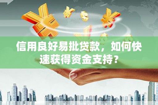 丰原信用良好易批贷款，如何快速获得资金支持？