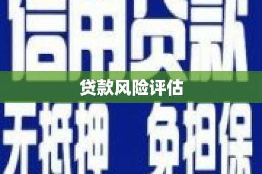 丰原贷款风险评估